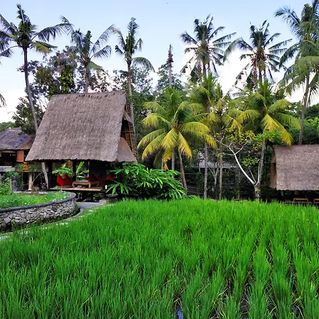 Arma Museum & Resort-3
